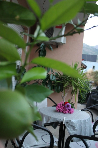 Apartman Anja