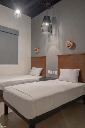 Economy Twin room