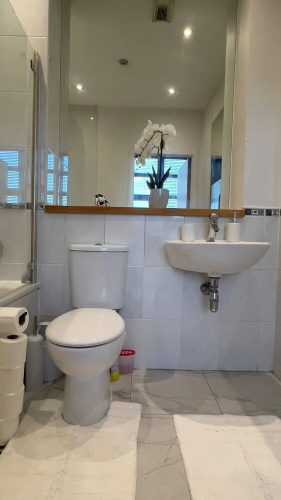 Modern Oasis / Central Location