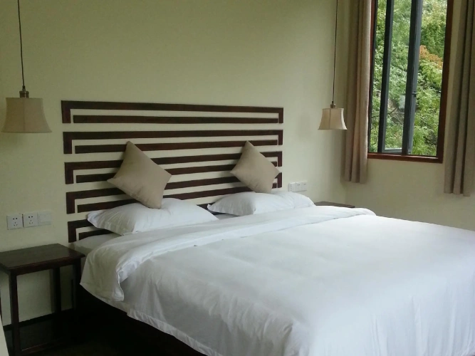 Luxury Double Suite