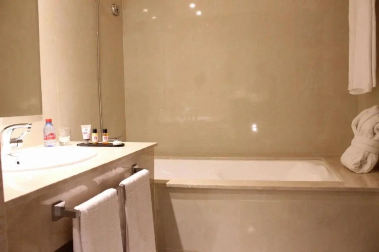 Premium Twin room with city view