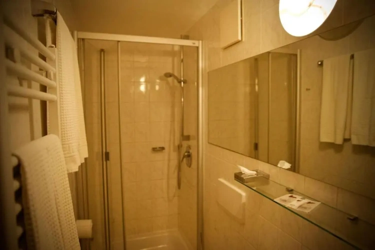 Standard Double room with lake view