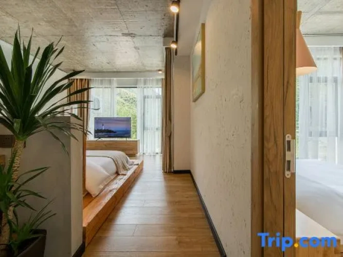 Standard Twin Family room