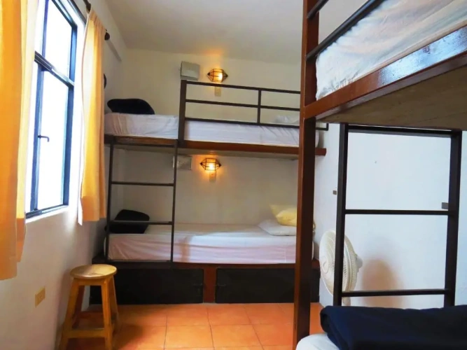 Bed in Dorm
