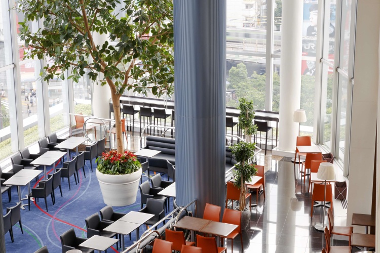 Shibuya Excel Hotel Tokyu photo 26