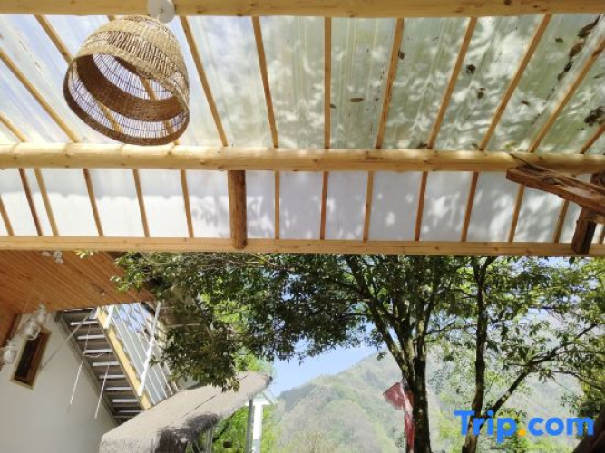 Yingying's yard