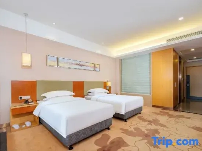 Twin Suite