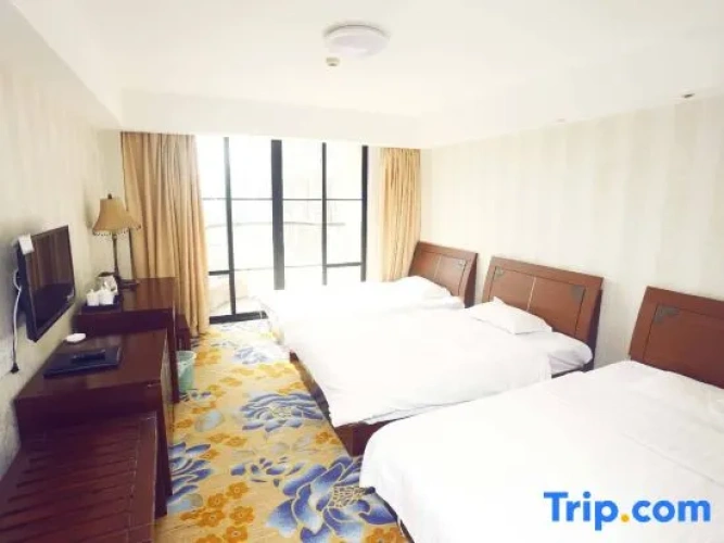Standard Triple room with city view