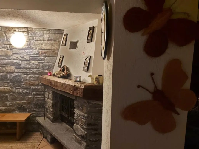 1 Bedroom Basement Apartment