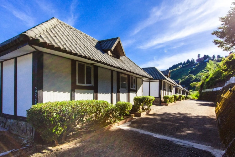 Standard Double room with mountain view