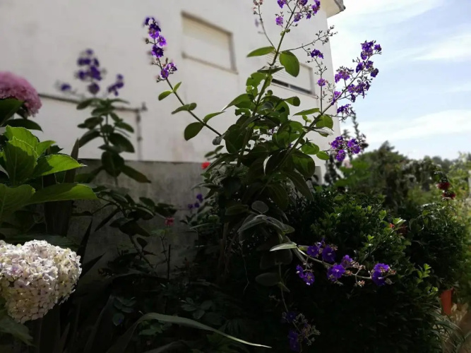 Residencial Idalio