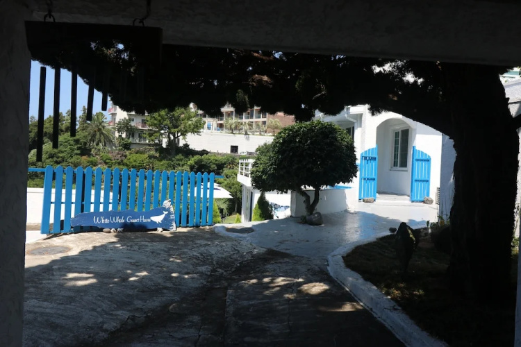 White Whale Guesthouse - Hostel