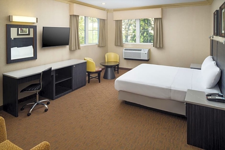 Deluxe Double Suite