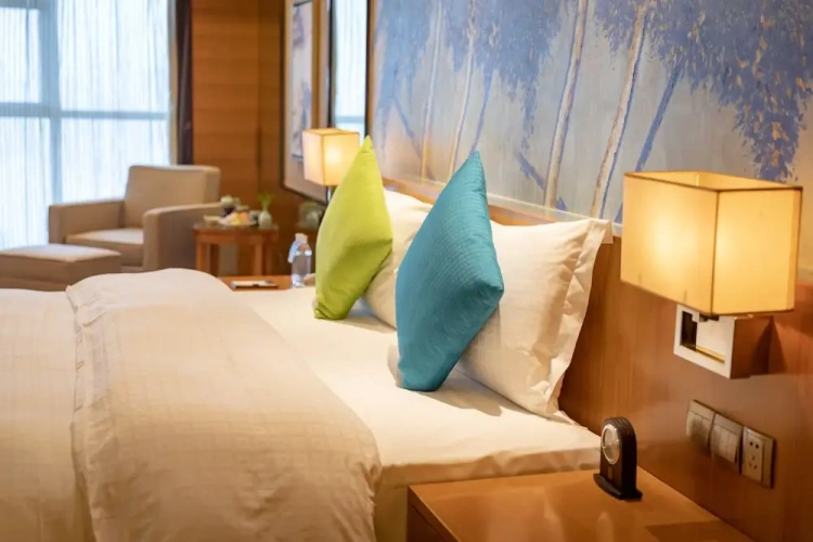 Executive Single room