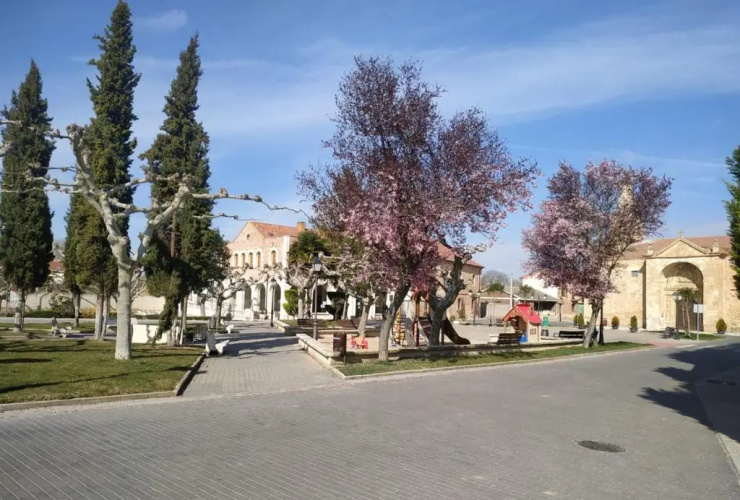 VEGA-ARANDA