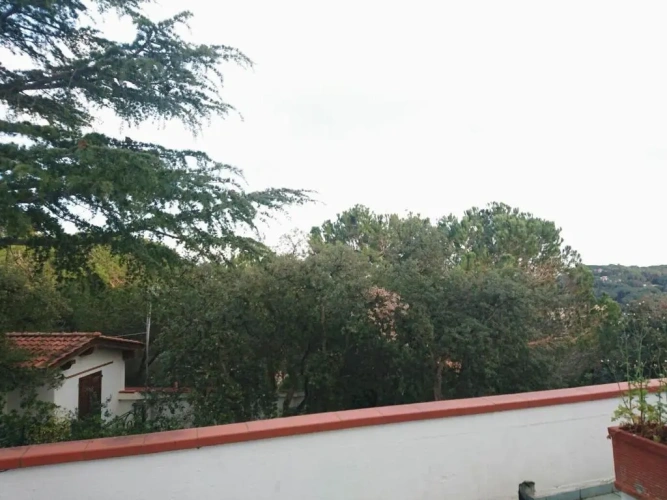 Studio