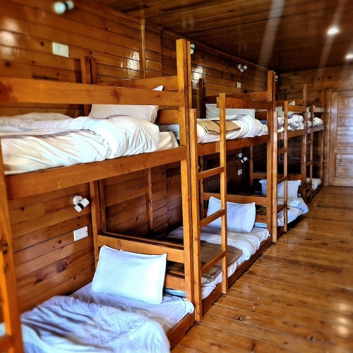 Bed in Dorm