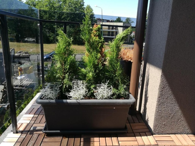 Apartment with balcony