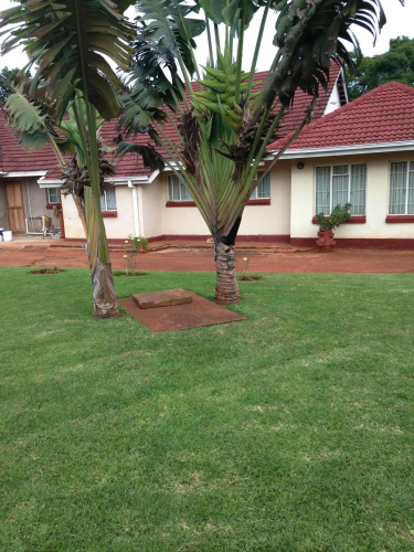 Palm villa