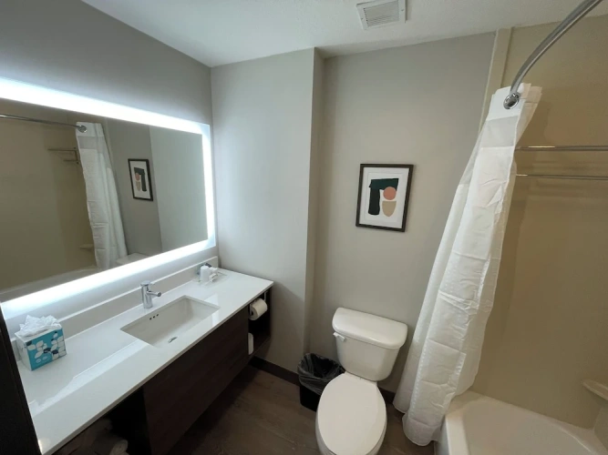 1 Bedroom Suite