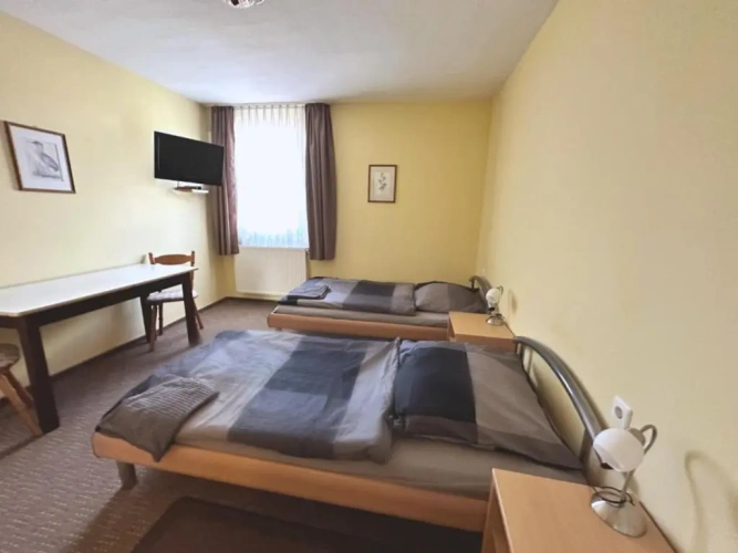 Economy Twin room