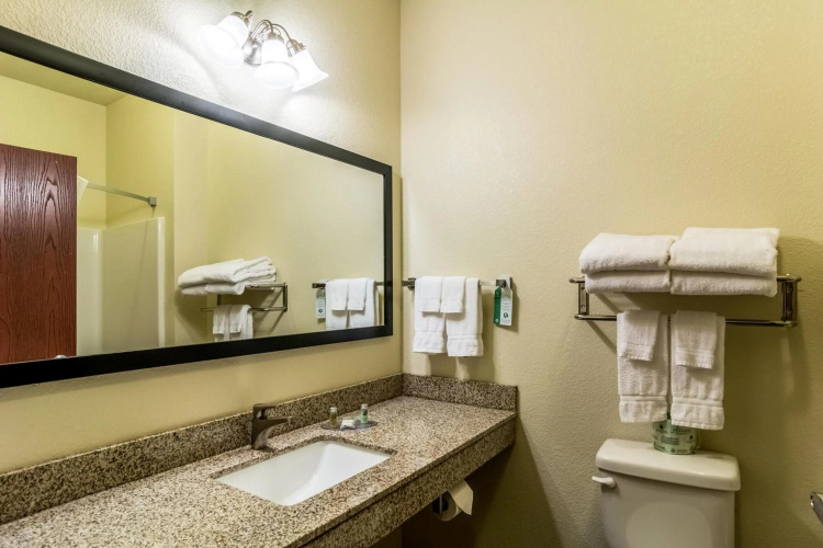 Cobblestone Hotel & Suites - Greenville photo 11