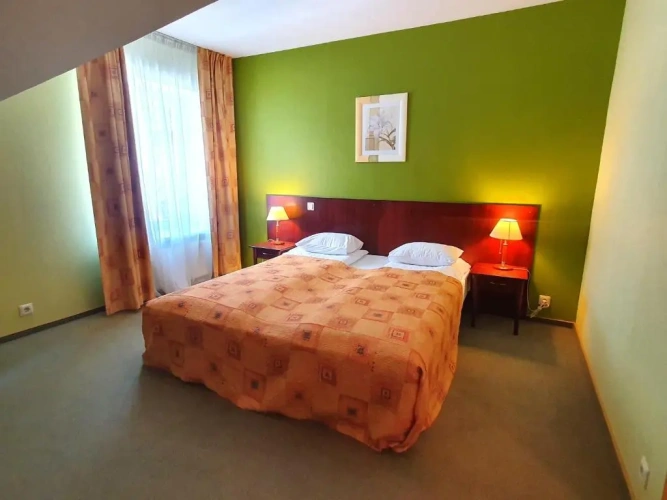 1 Bedroom Double Junior Suite with balcony and with garden view