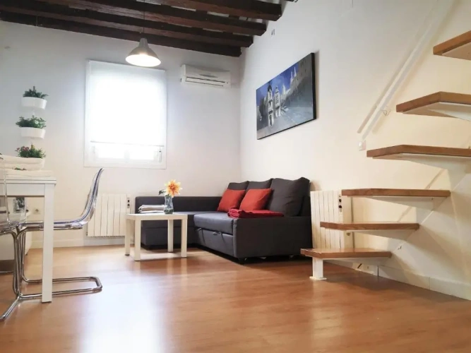 Duplex Apartment