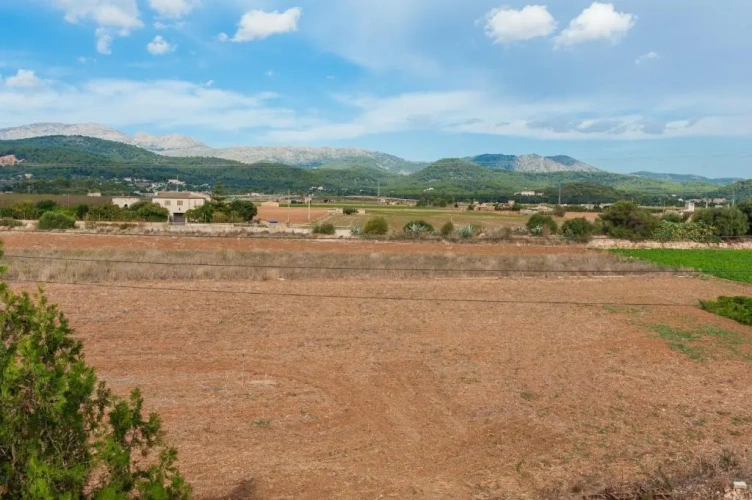 Single Villa