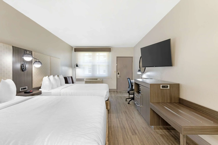 Standard Quadruple room