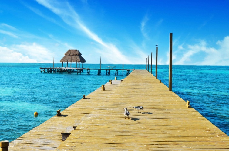Mia Reef Isla Mujeres photo 20