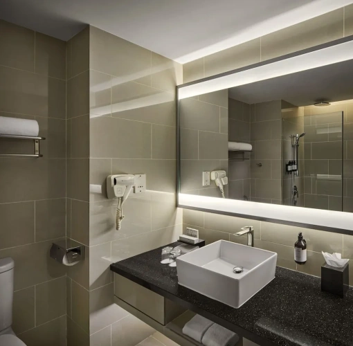 Deluxe Single room