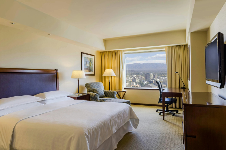 Sheraton Mendoza photo 7