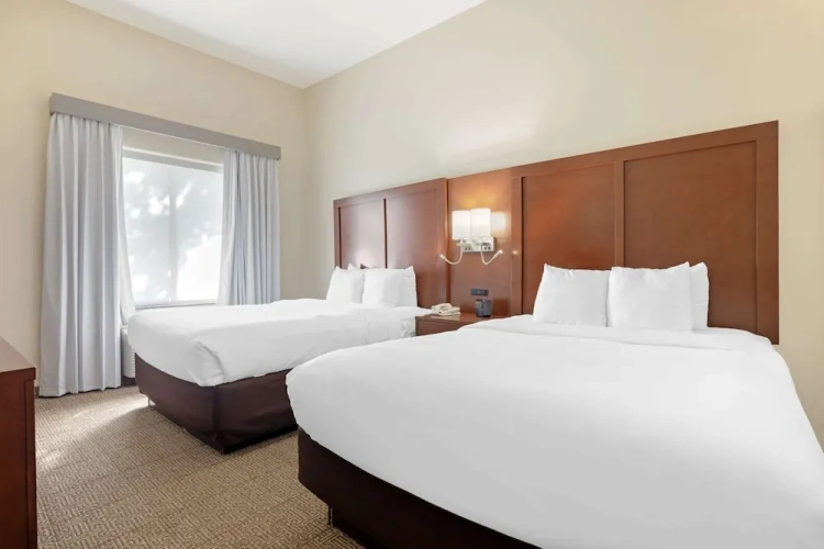 Twin Suite