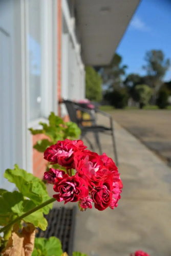 Ship Motel Yarram