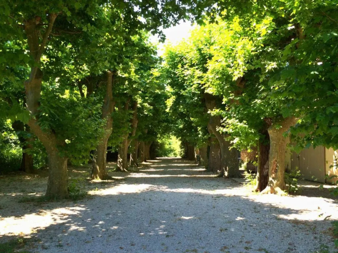 Château de la Merletade