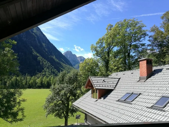 Studio with balcony and with mountain view