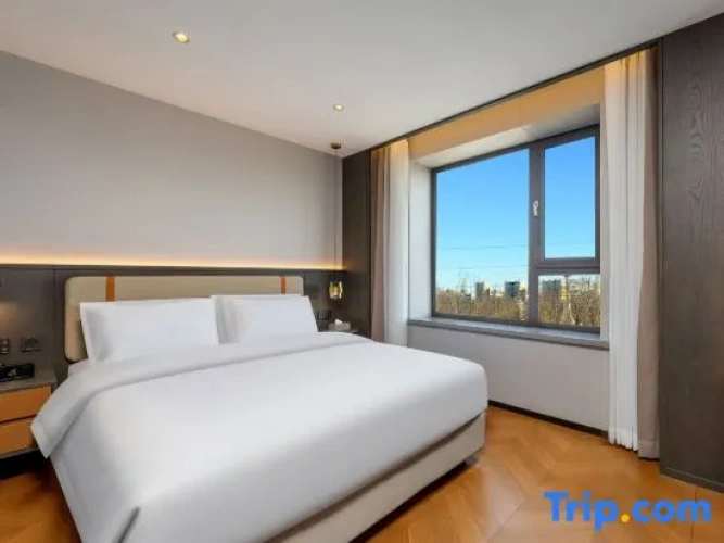 Business Suite