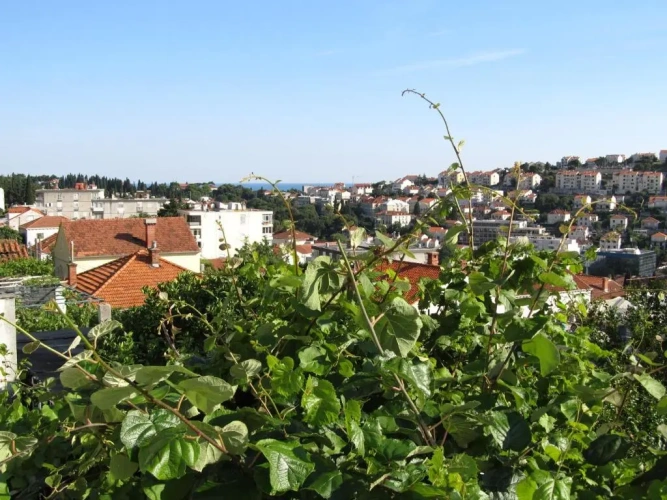 1 Bedroom Apartment with balcony