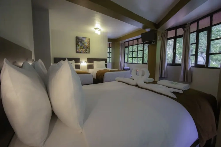 Standard Triple room
