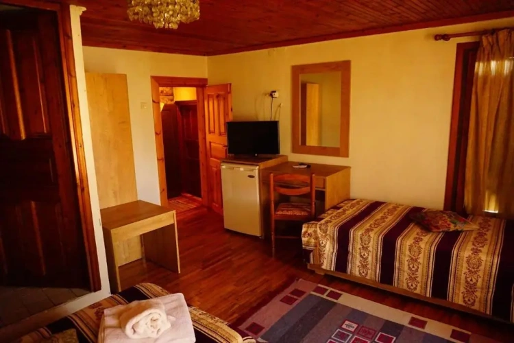 Standard Double room with balcony and with view