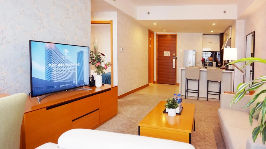 Business Single Suite with city view