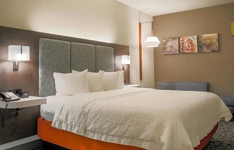 Standard Suite