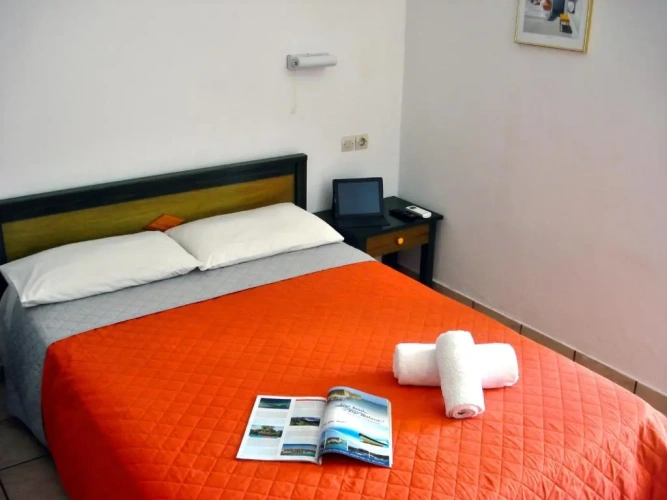 Superior Double room with mountain view