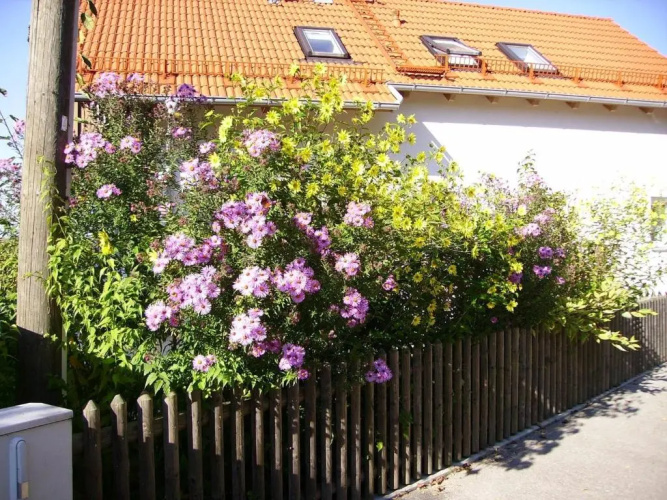 Wiflinger Graben Einfamilienhaus
