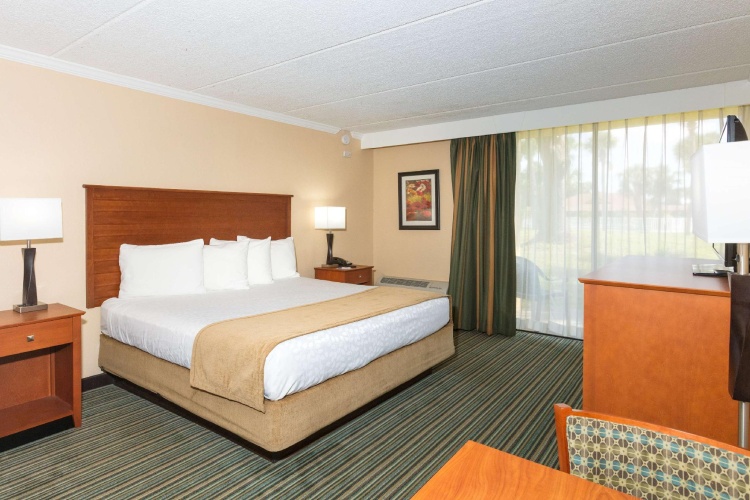 Standard Double room
