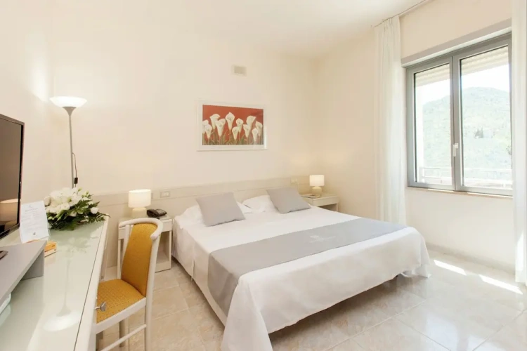 Standard Double room with land view