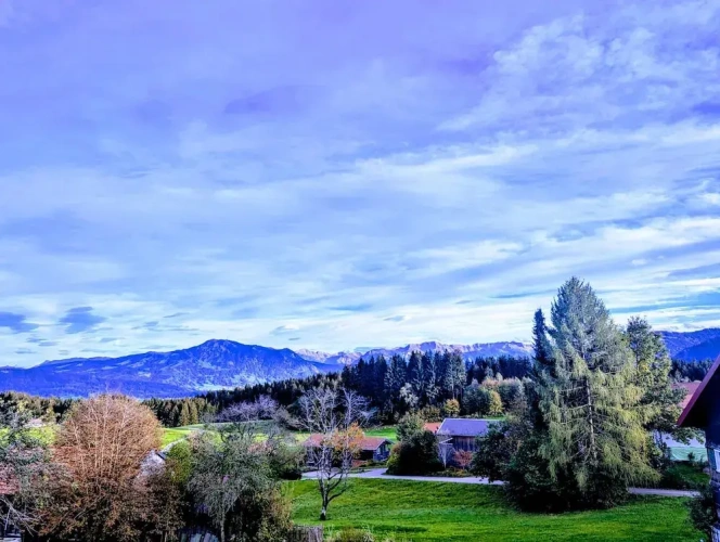 Classic Single room with balcony and with mountain view