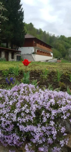 B&B Zlatna Nit
