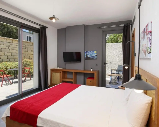 Standard Double room with garden view